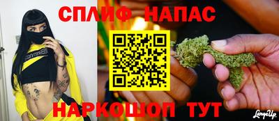 ECSTASY Беслан