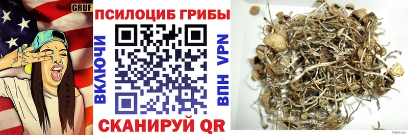 blacksprut онион  Верхний Уфалей  Галлюциногенные грибы Magic Shrooms  где продают  