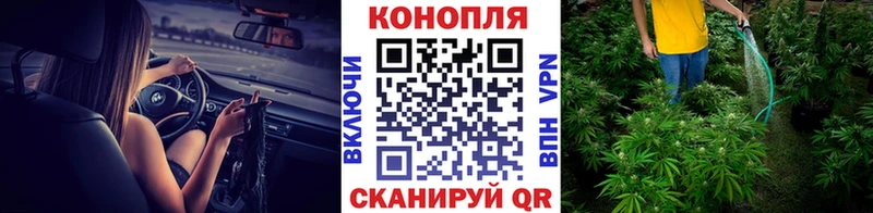 Марихуана план  Верхний Уфалей 